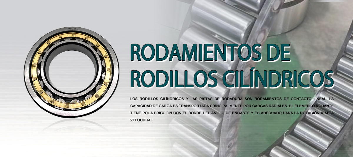 Rodamientos de rodillos cilíndricos